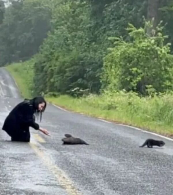 Un descubrimiento impactante: una pareja se detiene por un misterio inesperado en la carretera-1