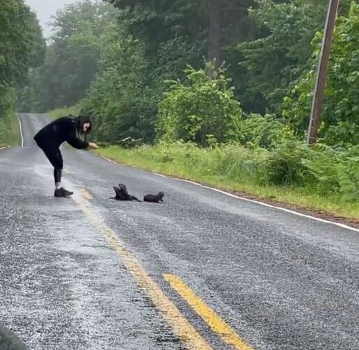 Un descubrimiento impactante: una pareja se detiene para un misterio inesperado en la carretera-3