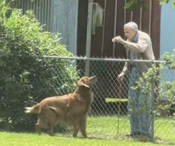 Ageless Bonds: An Elderly Man and Puppies Share Daily Delights-2