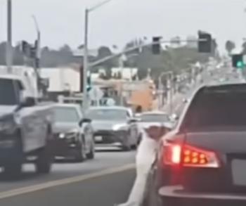 Brave Woman Saves Frightened Pup Left Behind in a Cruel Roadside Act-1