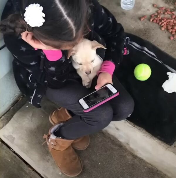 California Teen's Stealthy Rescue of a Stray Puppy Captures Hearts-2