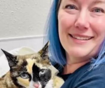 Cat's Incredible Journey in an Amazon Box Ends in Joyful Family Reunion-2