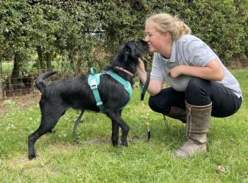 Couple Demands Euthanasia for Joyful Barking Dog: A Tale of Redemption-2