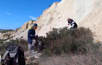 Rescate atrevido: pareja enfrenta desafíos para salvar a Puppy-2 que huye