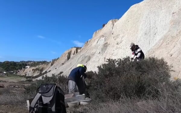 Rescate dramático en la playa: Cachorro aterrorizado desafía el Grit-3 de los rescatistas