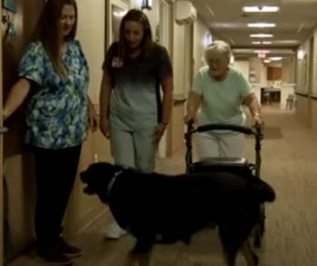 From Shelter to Soul Mate: The Dog Who Changed a Nursing Home-1