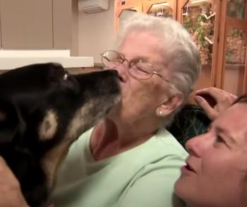 De refugio a alma gemela: el perro que cambió de residencia de ancianos-2