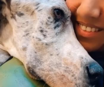 Miracle on the Streets: The Incredible Rescue of Angelo the Great Dane-3