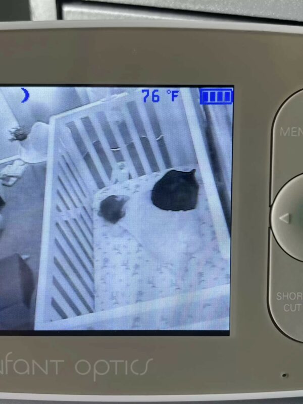 Mom Discovers Unexpected Guest in Baby's Crib: A Tale of Feline Affection-5