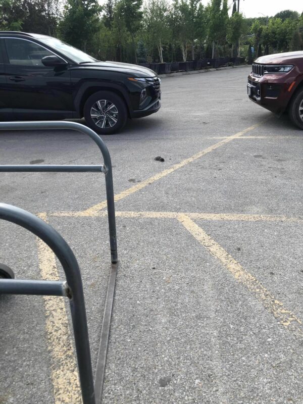 Mystery Unfolds in the Parking Lot: The Unexpected Discovery-1