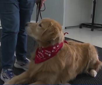 Paws for Improvement: How NJ's New Bill Could Revolutionize School Days with Therapy Dogs-3