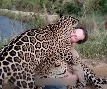 Tears and Triumphs: Unbelievable Reunions Between Pets and Owners After Years Apart-1