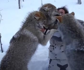 Tears and Triumphs: Unbelievable Reunions Between Pets and Owners After Years Apart-3