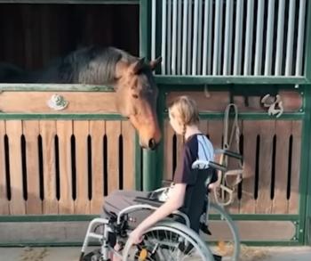 Tears and Triumphs: Unbelievable Reunions Between Pets and Owners After Years Apart-4