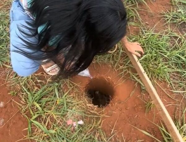 Joven héroe descubre y rescata a un cachorro atrapado: una historia de coraje y compasión-1