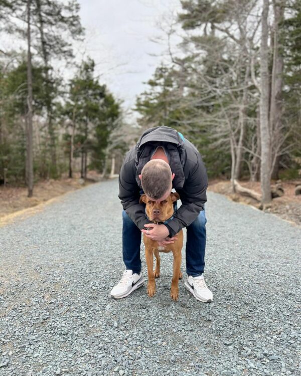 Un giro dramático del destino: un hombre salva a un pitbull días antes de la eutanasia-1