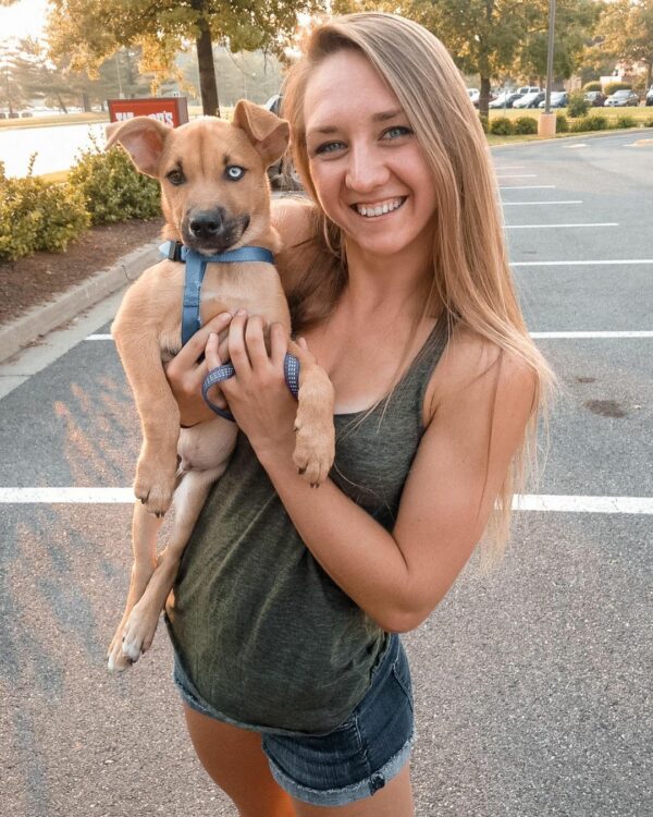 El amor inquebrantable de una familia por su perro perfecto revela una verdad desgarradora-1