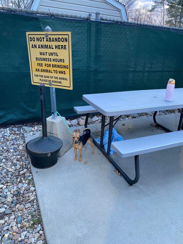 A Shelter Worker Uncovers a Tear-Jerking Sight Next to a Sign Pleading for Kindness-1