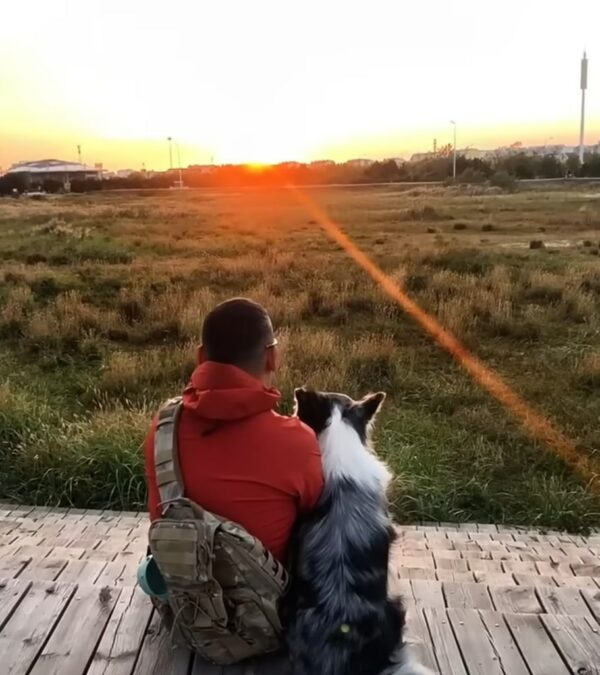 El viaje de un perro callejero desde la miseria en el camino a una vida de alegría y amor-1