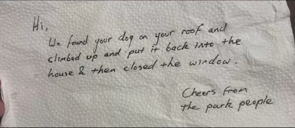 A Surprising Discovery: Woman Finds Unexpected Note About Her Dog-1