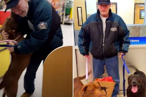 A Tearful Reunion: Veteran and His Dogs Defy the Odds-2