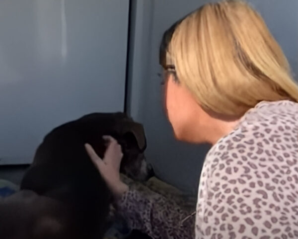 After 12 Years Missing, This Dog's Heartfelt Reunion Will Leave You Speechless-1