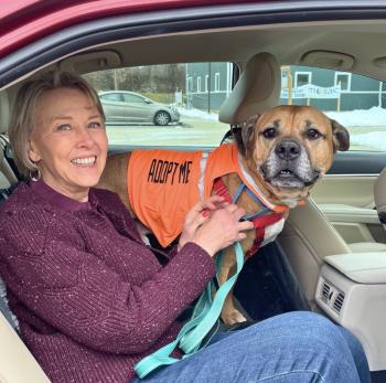 An Unlikely Hero: How a Cape Helped a Senior Dog Find His Forever Home-1