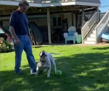 El encuentro del cachorro ciego con el destino: una dramática historia de rescate-1