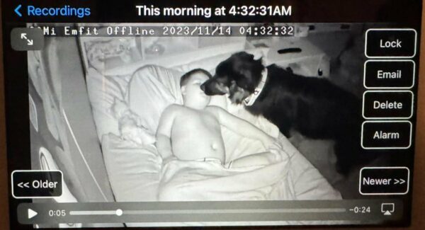 Caught on Camera: Dog Sneaks into Brother's Room with a Heart-Melting Mission-1