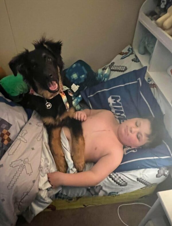 Caught on Camera: Dog Sneaks into Brother's Room with a Heart-Melting Mission-1