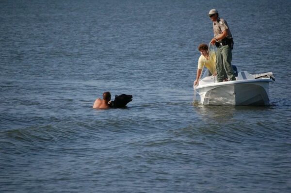 Daring Rescue: Man Swims to Save Drowning Bear!-1