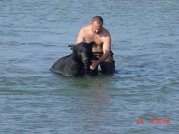 Daring Rescue: Man Swims to Save Drowning Bear!-1