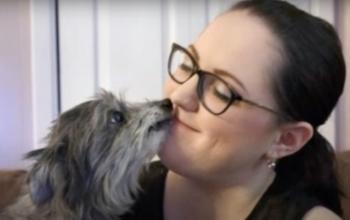 Destiny Reunited: Mujer adopta un perro mayor y descubre que es su mascota de la infancia perdida hace mucho tiempo-1