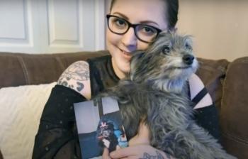 Destiny Reunited: Woman Adopts Senior Dog Only to Discover It's Her Long-Lost Childhood Pet-1