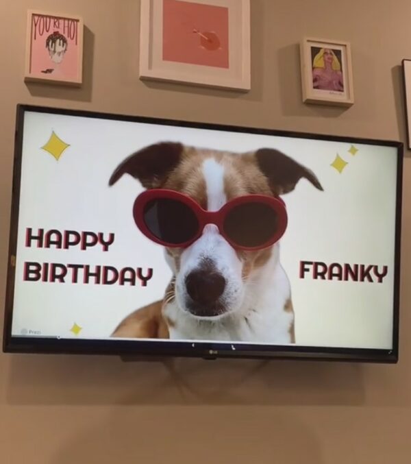 Descubra el momento conmovedor en el que se revela la verdadera identidad de Franky en la fiesta de revelación de su raza-1