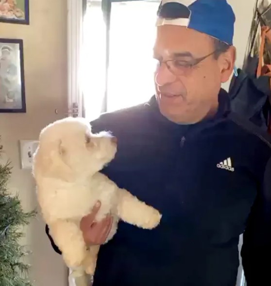 Discover the Hilarious Moment This Dad Realized His Dog Swap Mistake!-1