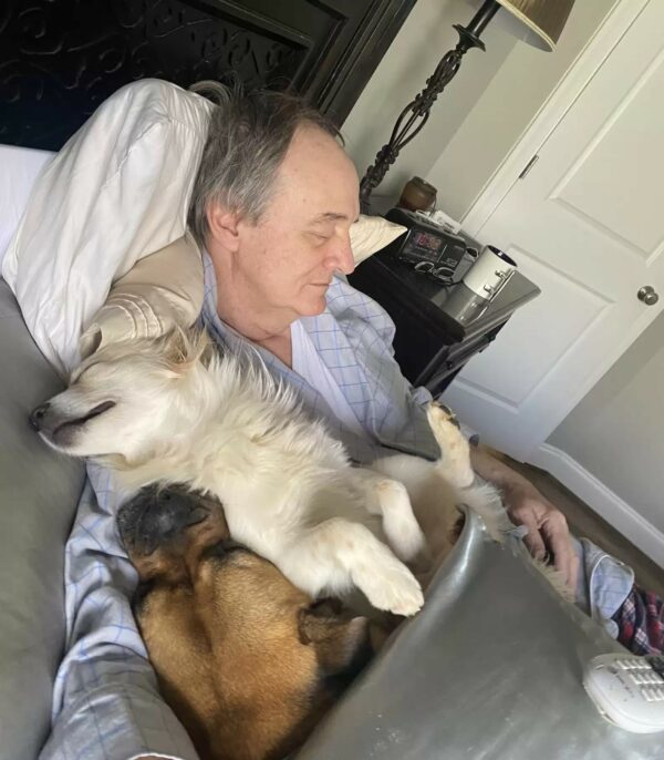 Discover the Man Who Turns Every Dog's Frown Upside Down with His Magical Naps-1