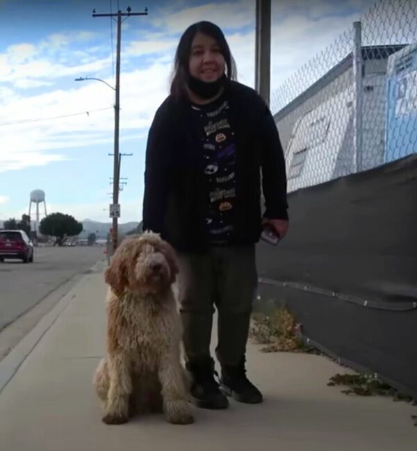 Perro abandonado en una carretera muy transitada encuentra héroes improbables-1