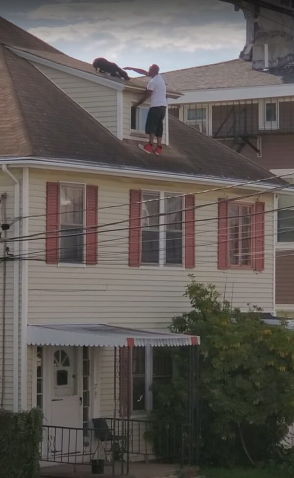 Dog's Perilous Rooftop Ordeal Ends in a Heroic Rescue-1