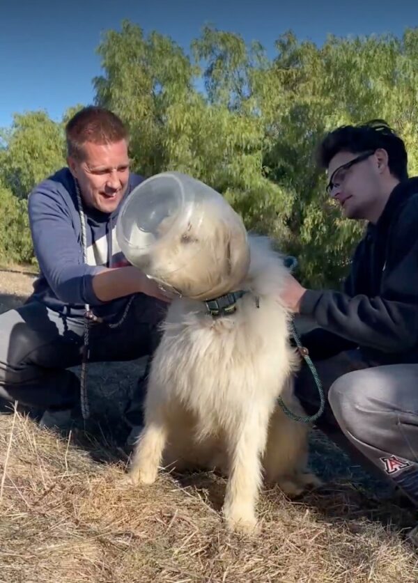 Rescate dramático: perro con la cabeza atrapada en un frasco de pretzel encuentra ayuda en una granja local-4