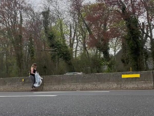 Dramatic Rescue: Woman Saves Unexpected Animal on Busy Highway!-3