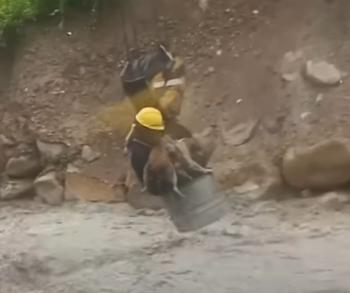 Dramático rescate en un río: el atrevido esfuerzo de los trabajadores de la construcción para salvar la vida de un perro-1