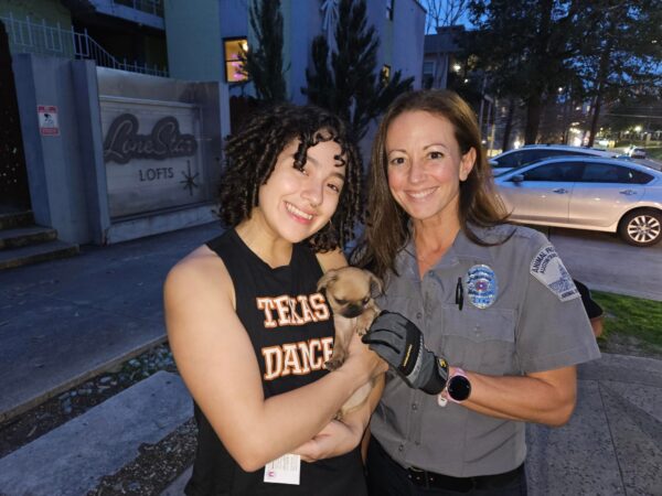 Dramatic Rooftop Rescue: Tiny Pup's Perilous Plight Sparks Heroic Action-1