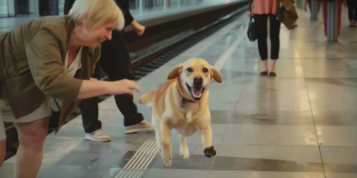 Emotional Dog Overjoyed After Reuniting with Beloved Grandma