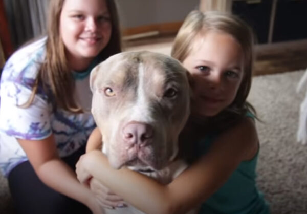 From Certain Death to a Loving Home: You Won't Believe This Dog's Journey-1