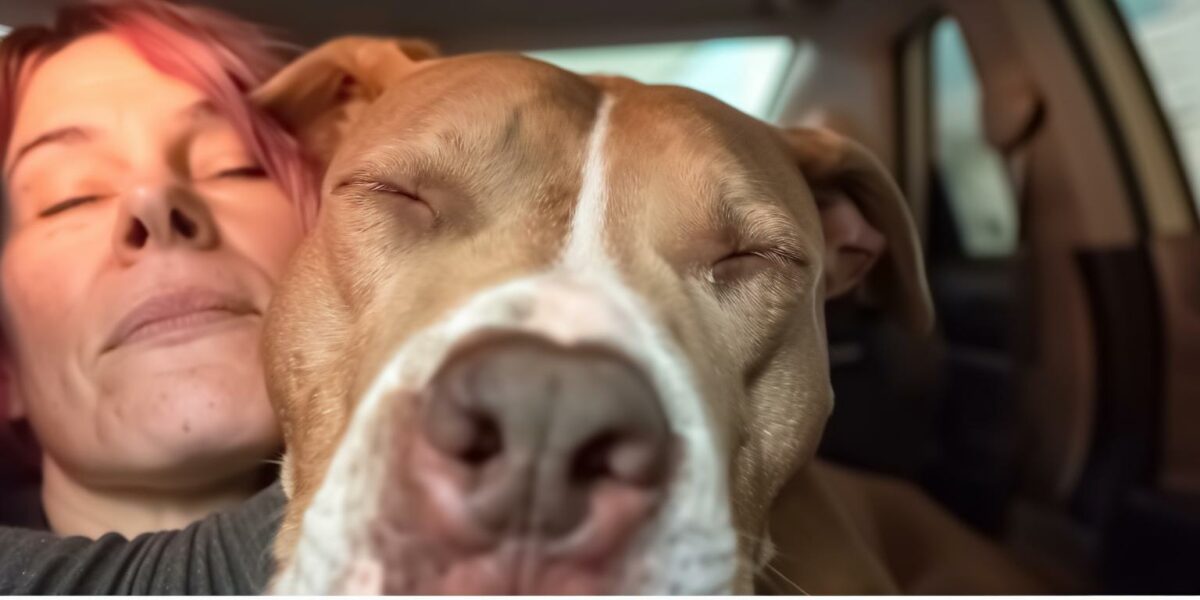 From Shelter Shadows to Loving Arms: The Transformation of Rudy, the Pit Bull Mix