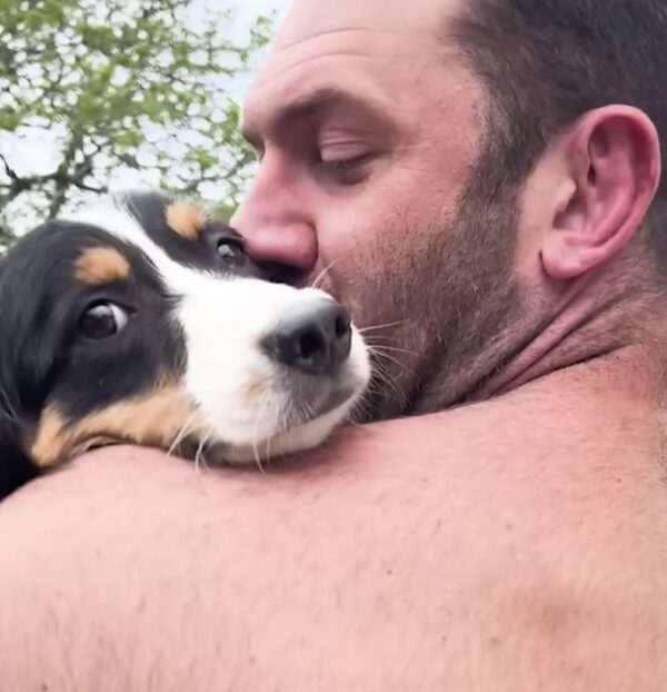 De la timidez a la luz de las estrellas: cómo se transformó la vida de un cachorro con un toque de amor-1