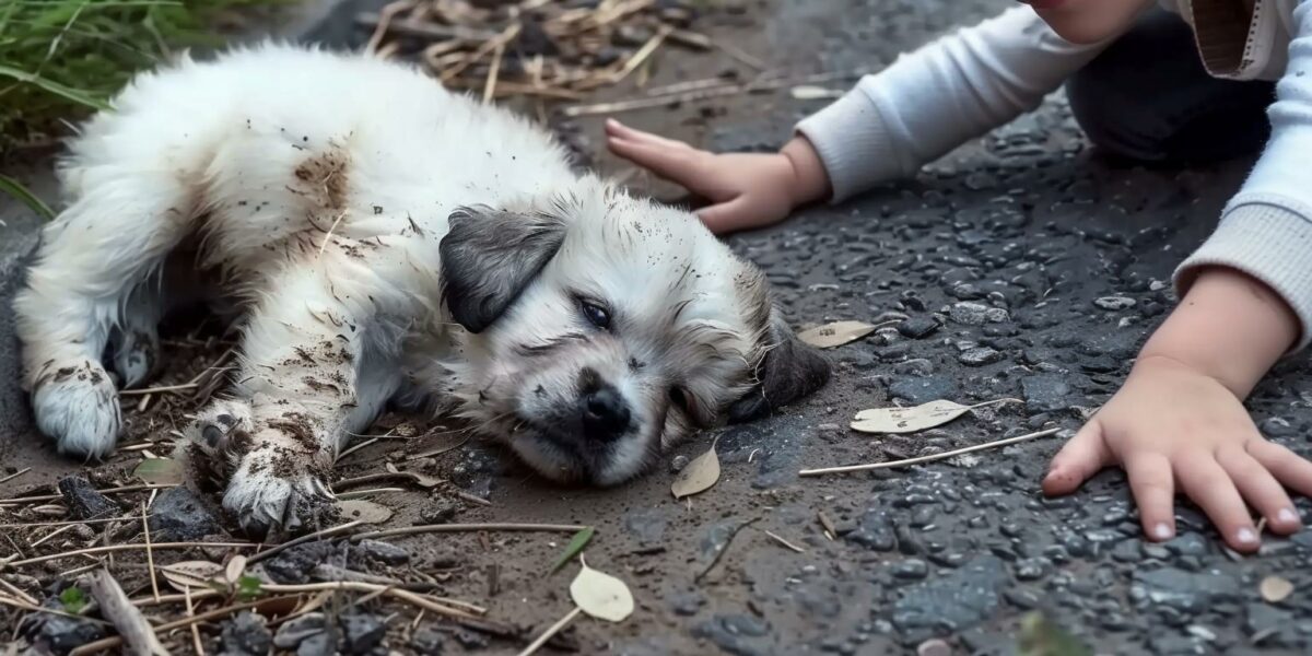 Girl Finds Lifeless Puppy, What Happens Next Will Warm Your Heart