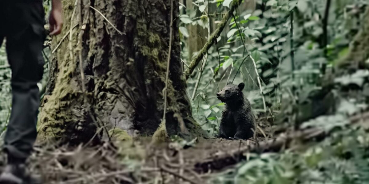 Hiker's Unexpected Discovery in the Woods Will Leave You Speechless