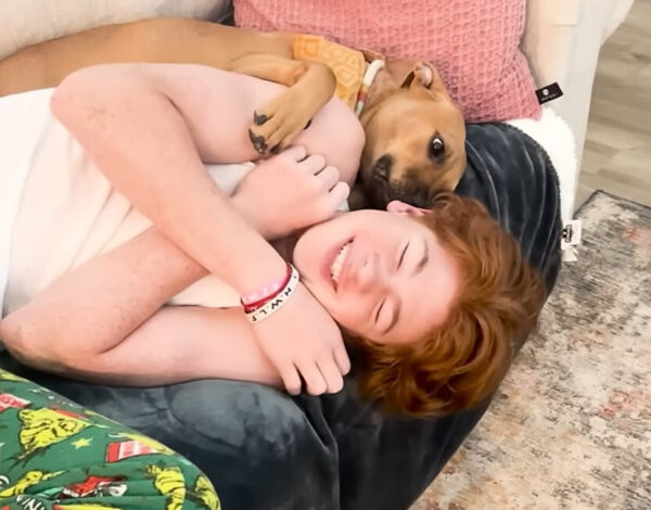 How a Stubborn Stray Pup Finally Found the Human Love He Desperately Needed-1